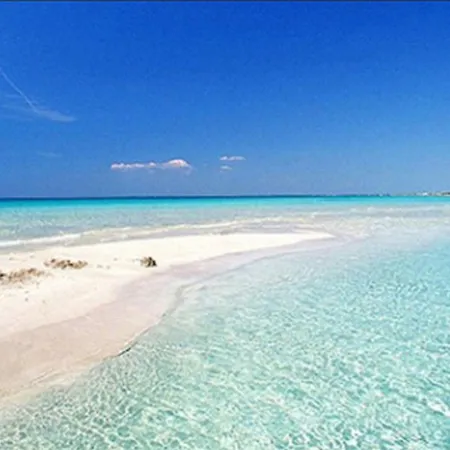 Apartment La Rosa Sea View - Happy